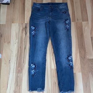 Arizona Plus Size Skinny Jeans